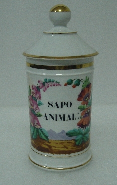 Pote (farmácia)