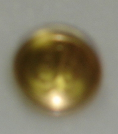Botão