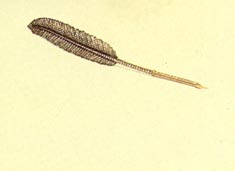 Pena (escrita)