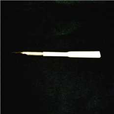 Caneta