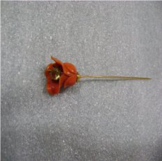 Alfinete de chapéu
