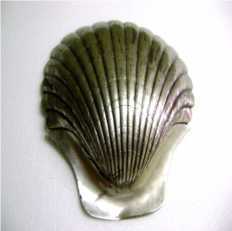 Cuia batismal