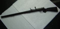 Carabina