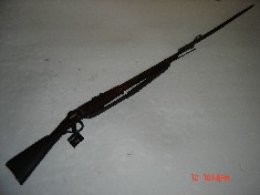 Carabina