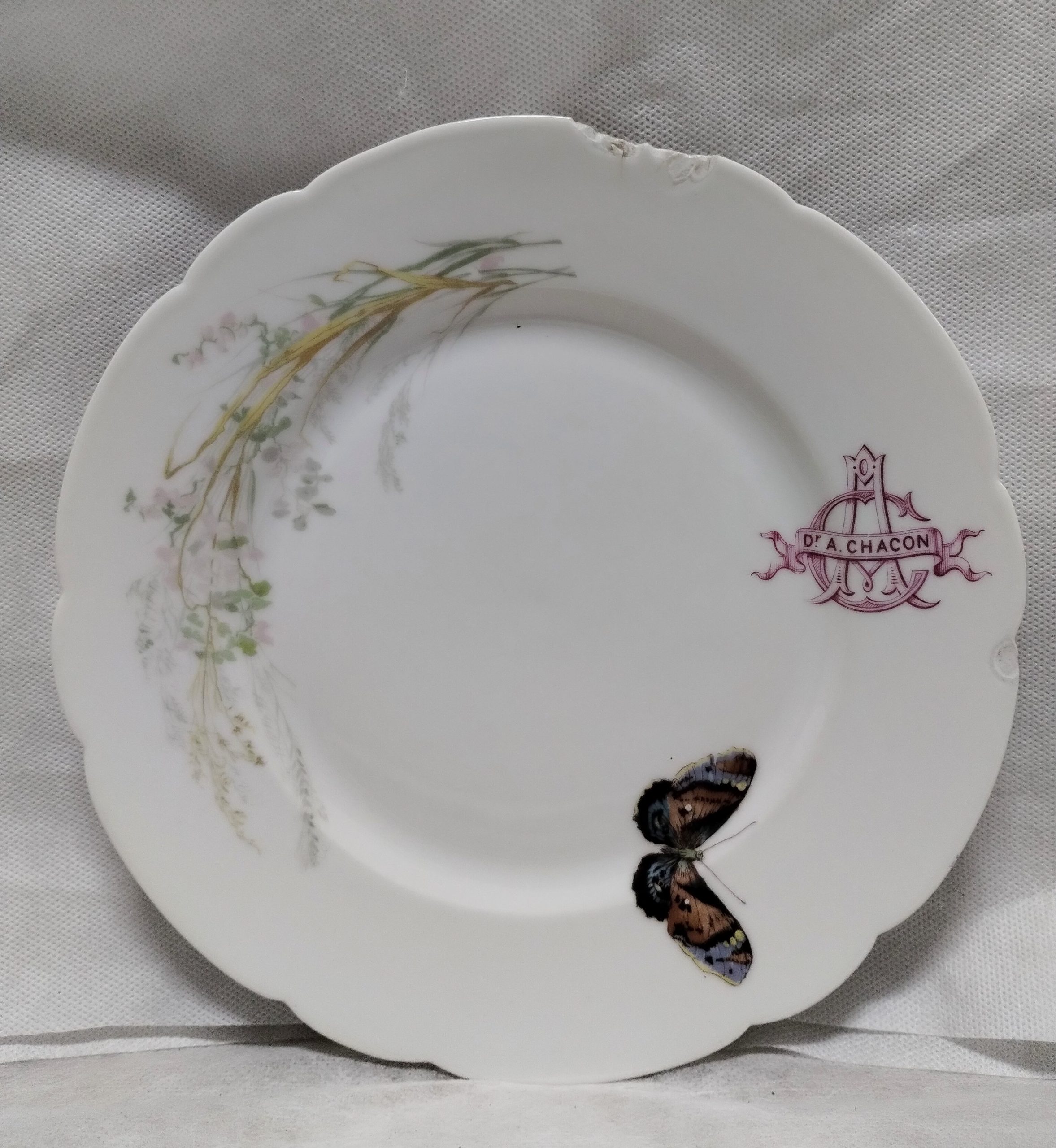 Prato raso