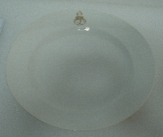 Prato de arroz
