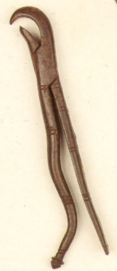 Fórceps (boticão)