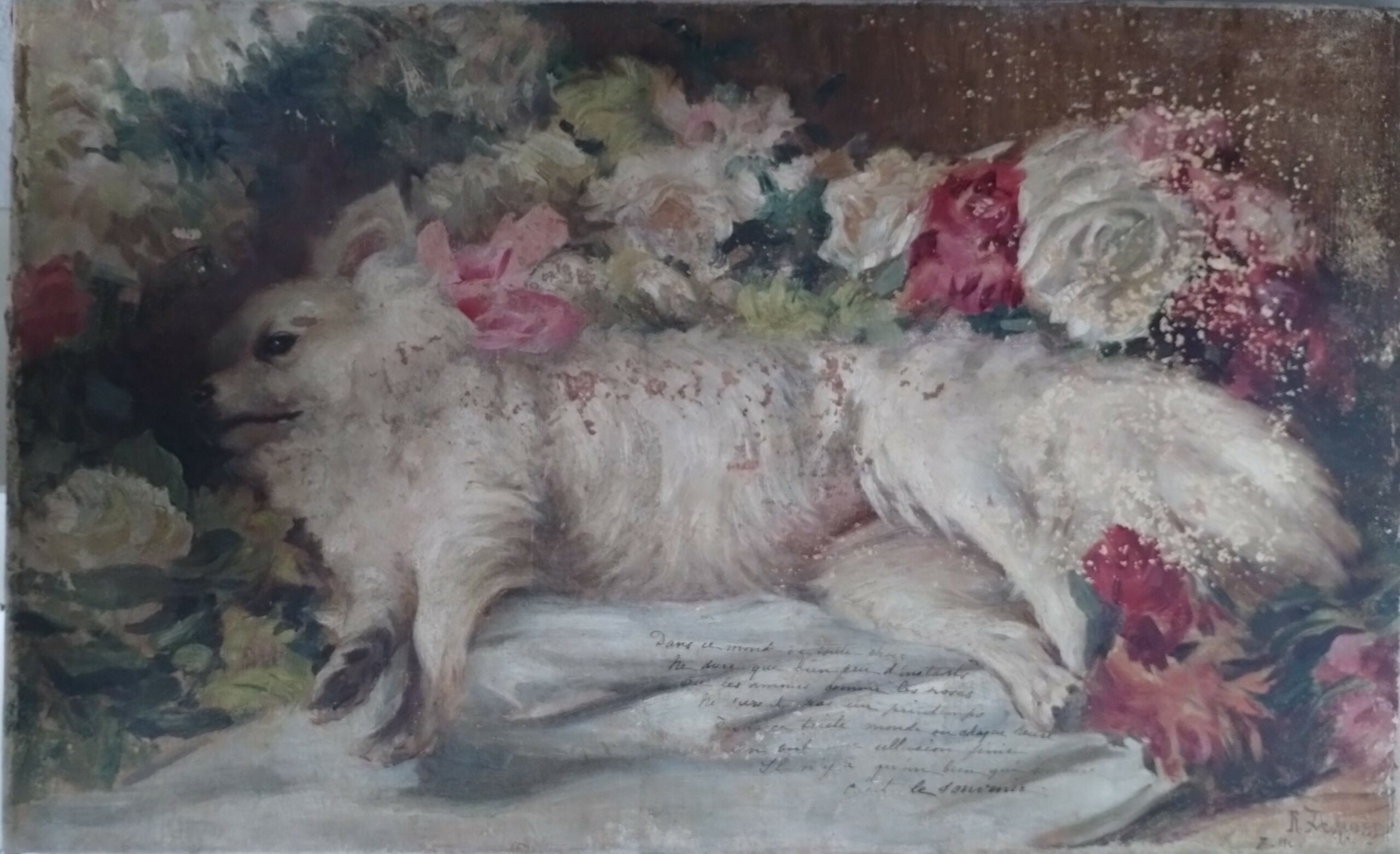 Pintura animalista