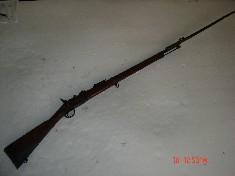 Carabina
