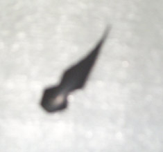 Diamante (arma)
