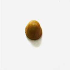 Panela (miniatura)