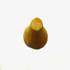 Pilão (miniatura)