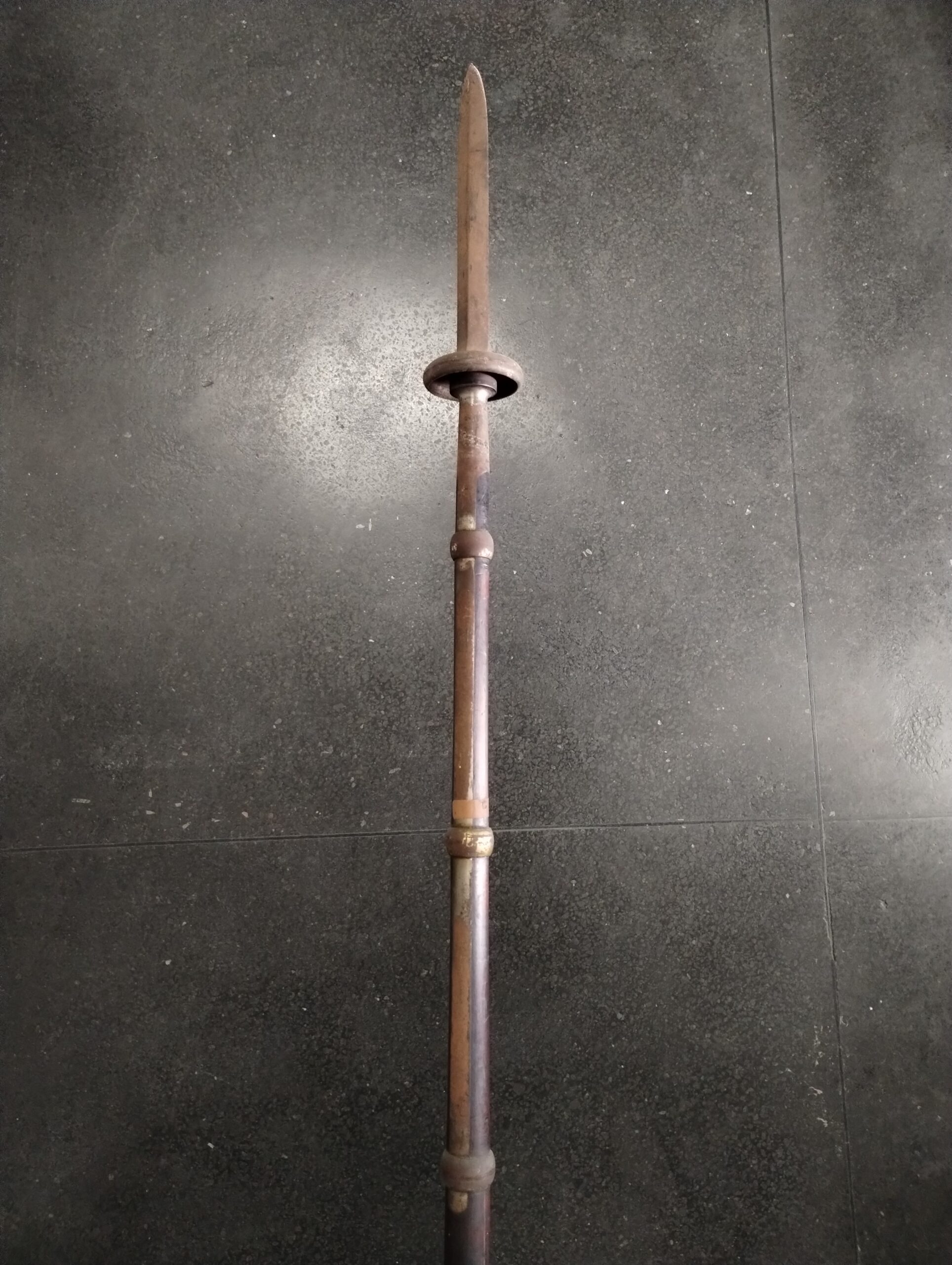 Lança (modelo de estudo)