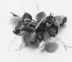 Adorno auricular
