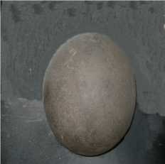 Bomba