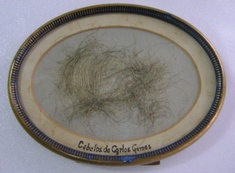 Amostra animal: cabelo