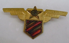 Chapa de uniforme?
