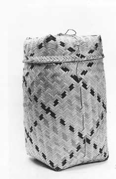 Cesta