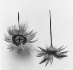 Adorno auricular