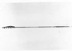 Flecha