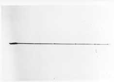 Flecha (modelo de instrução?)