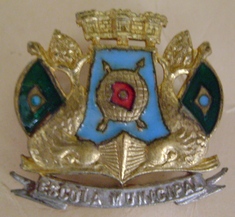 Distintivo?