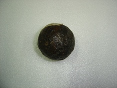 Bala rasa
