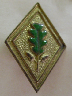 Distintivo?