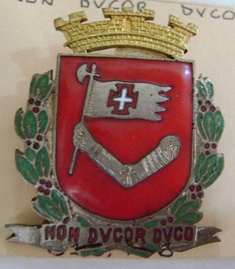 Distintivo?