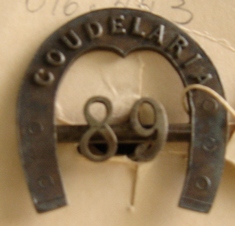 Botao (distintivo)?