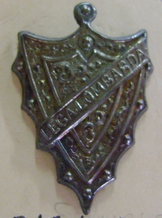 Botao (distintivo)?