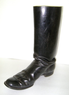 Bota