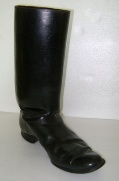 Bota
