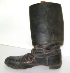 Bota