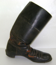 Bota