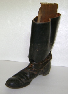 Bota