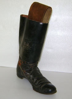Bota