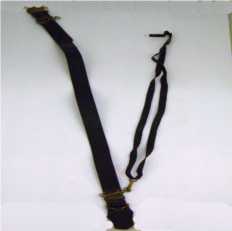 Talim