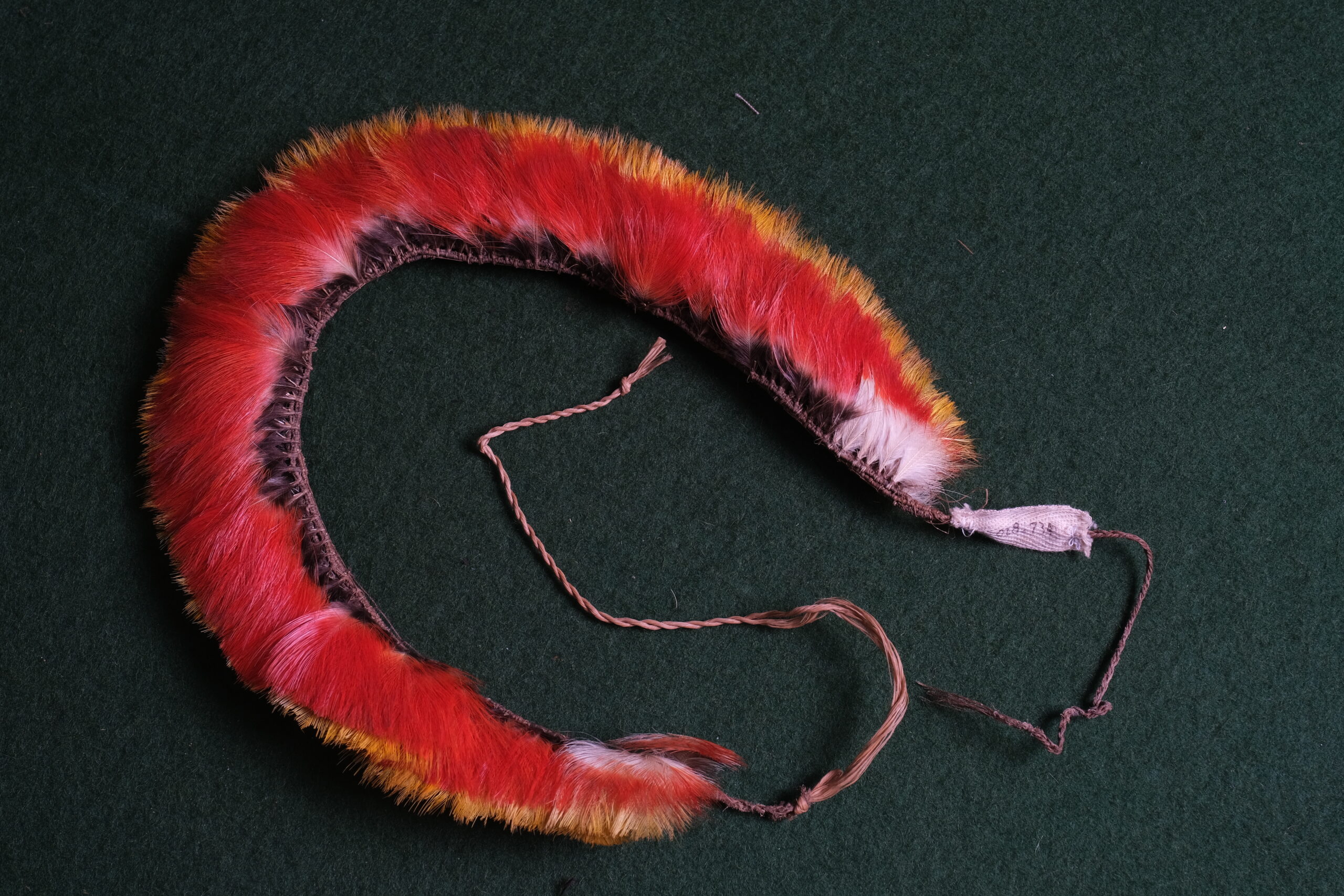 Diadema