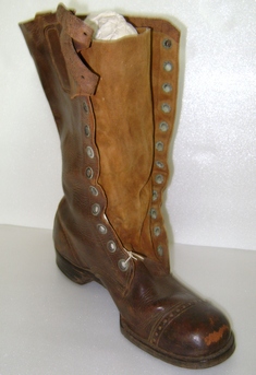 Bota