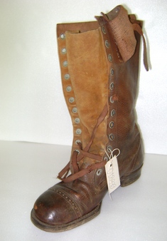 Bota