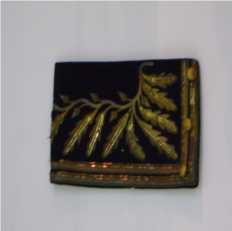 Canhao (insignia)