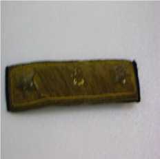 Passadeira (insignia)