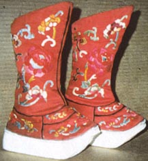 Bota