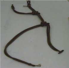 Talim