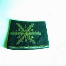 Canhão (insígnia)