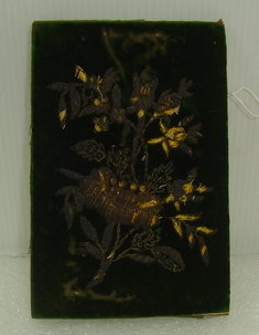 Carteira de dinheiro