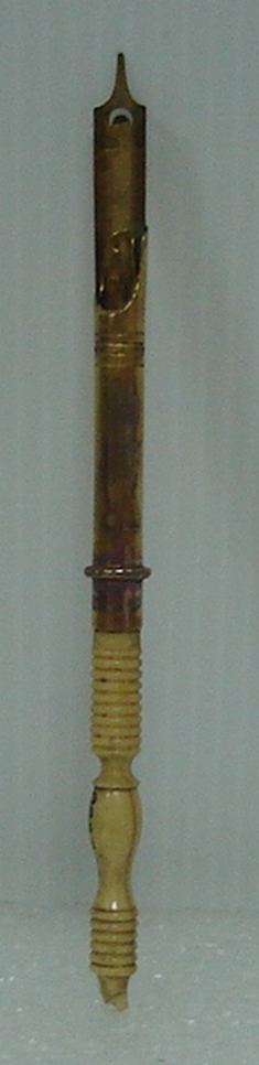 Caneta