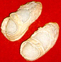 Sapato