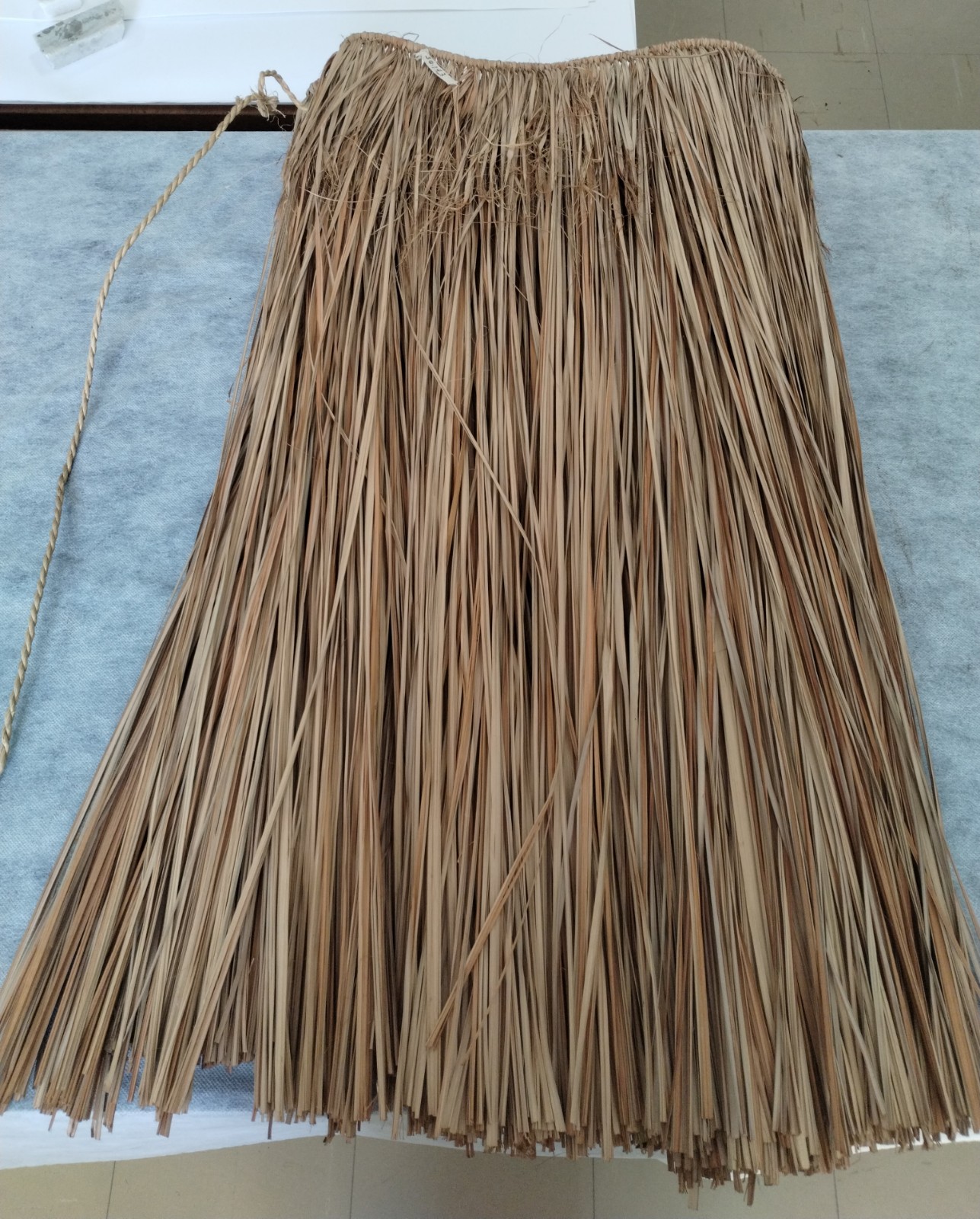 Saia (índio)(ritual)